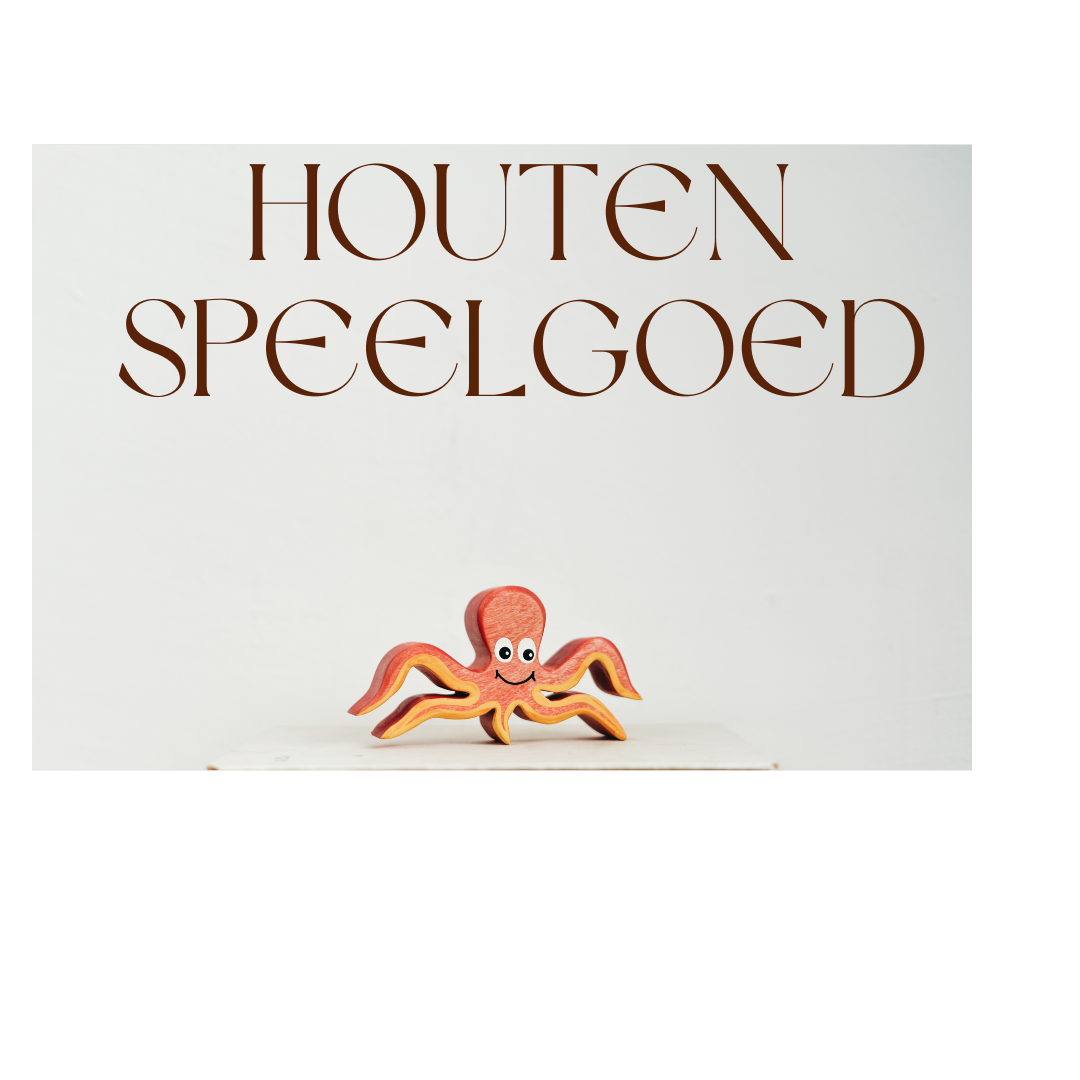 Houten speelgoed